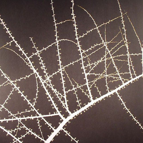 洋楽 Terry Riley / Don Cherry / Karl Berger Terry Riley / Don Cherry / Karl Berger - Köln - February 23, 1975