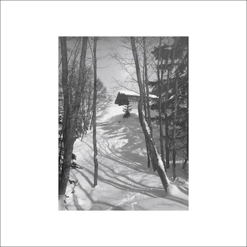 DJ Richard - Path of Ruin - 12" - Dial - Dialrec74