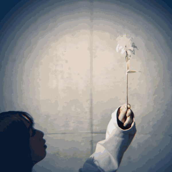 Yuri Urano - Reed - 12" - YL - YL001