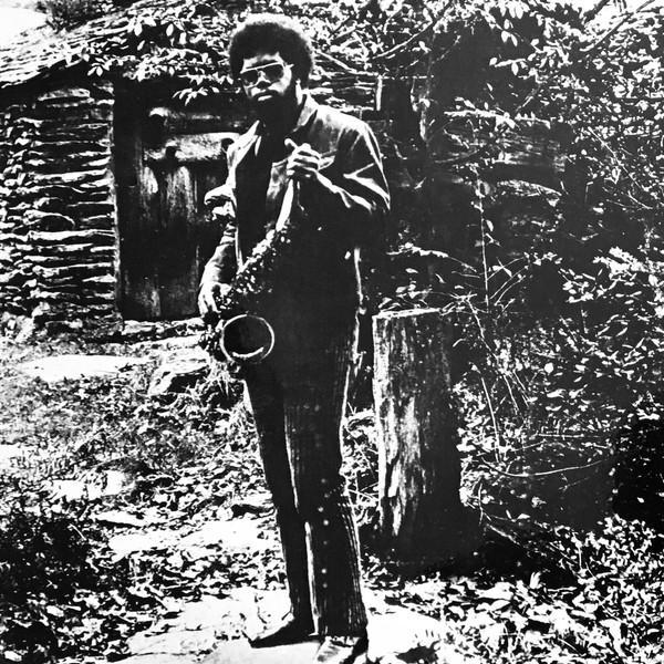 Joe McPhee - Nation Time - LP - Superior Viaduct - SV164