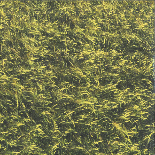Skee Mask - Pool - 3x12" - Ilian Tape - ITLP09