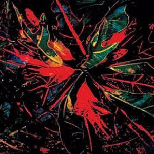 Jay Daniel - Karmatic Equations - 2x12" - Wild Oats - WO-JD01