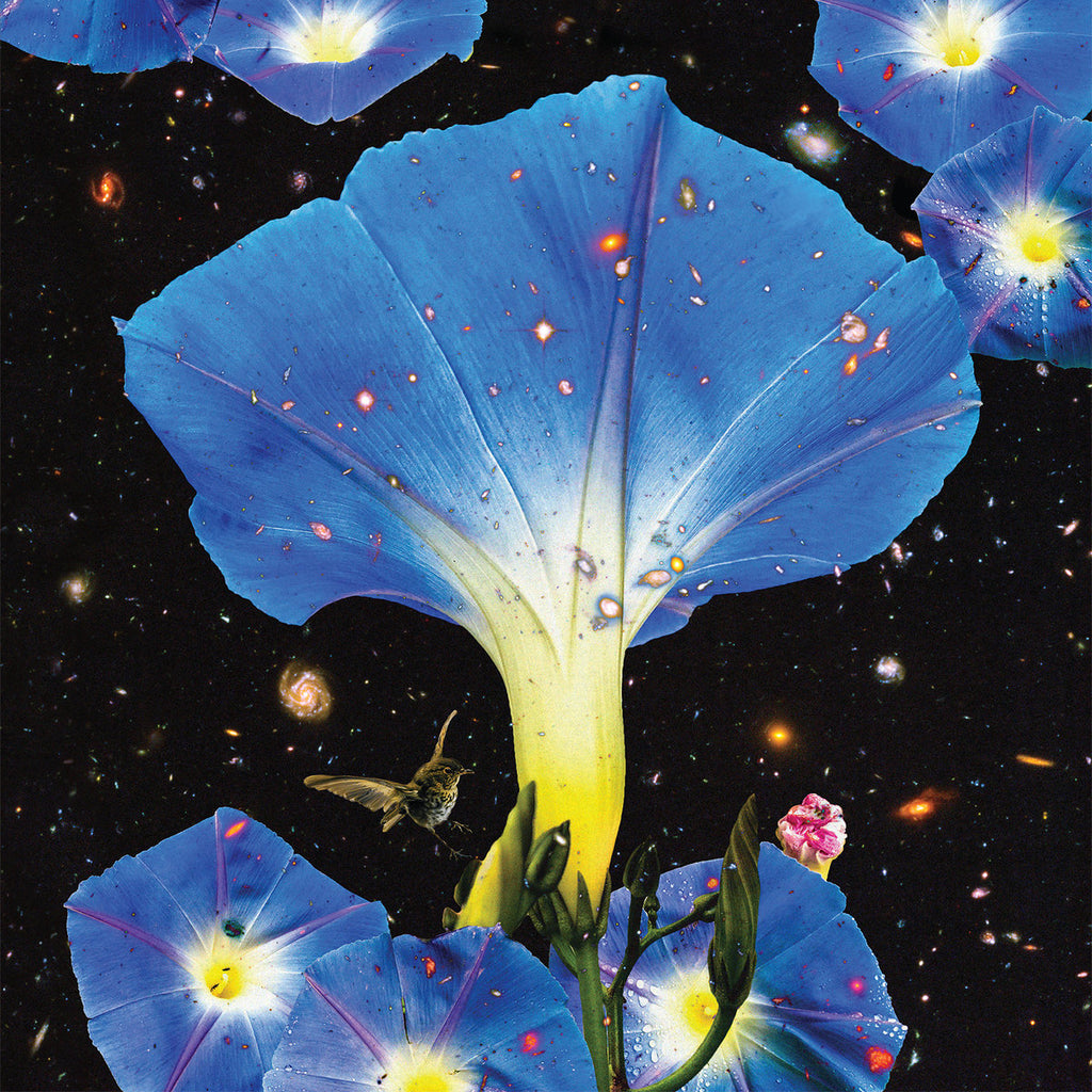 Sarah Louise - Nighttime Birds and Morning Stars - LP - Thrill Jockey Records - THRILL 483