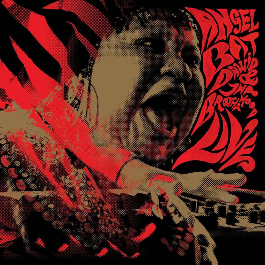 Angel Bat Dawid & Tha Brothahood - Live - 2xLP - International Anthem Recording Company - IMRC0037
