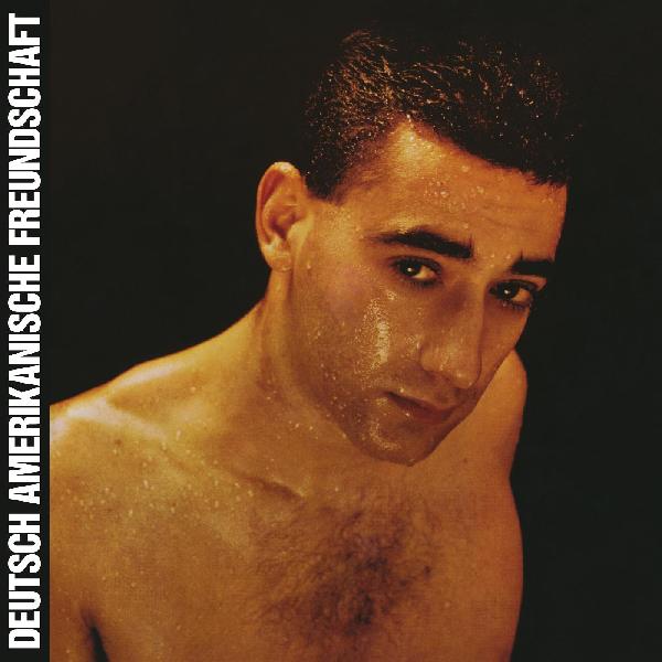 Deutsch Amerikanische Freundschaft - Alles Ist Gut - LP - Grönland Records - LPGRON172
