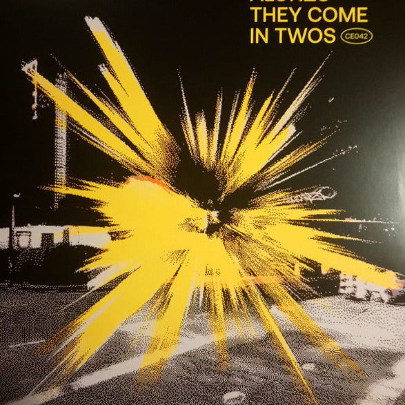 Alonzo - They Come In Twos - 2x12" - Cultivated Electronics - CE042