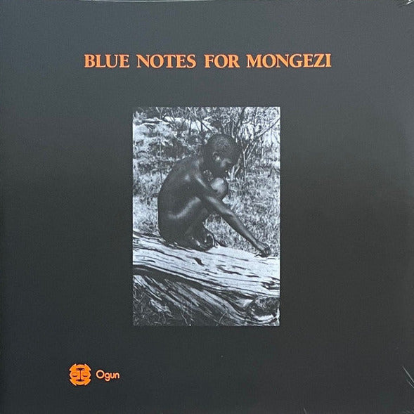 Blue Notes - Blue Notes For Mongezi - 2xLP - Otoroku - ROKURE005