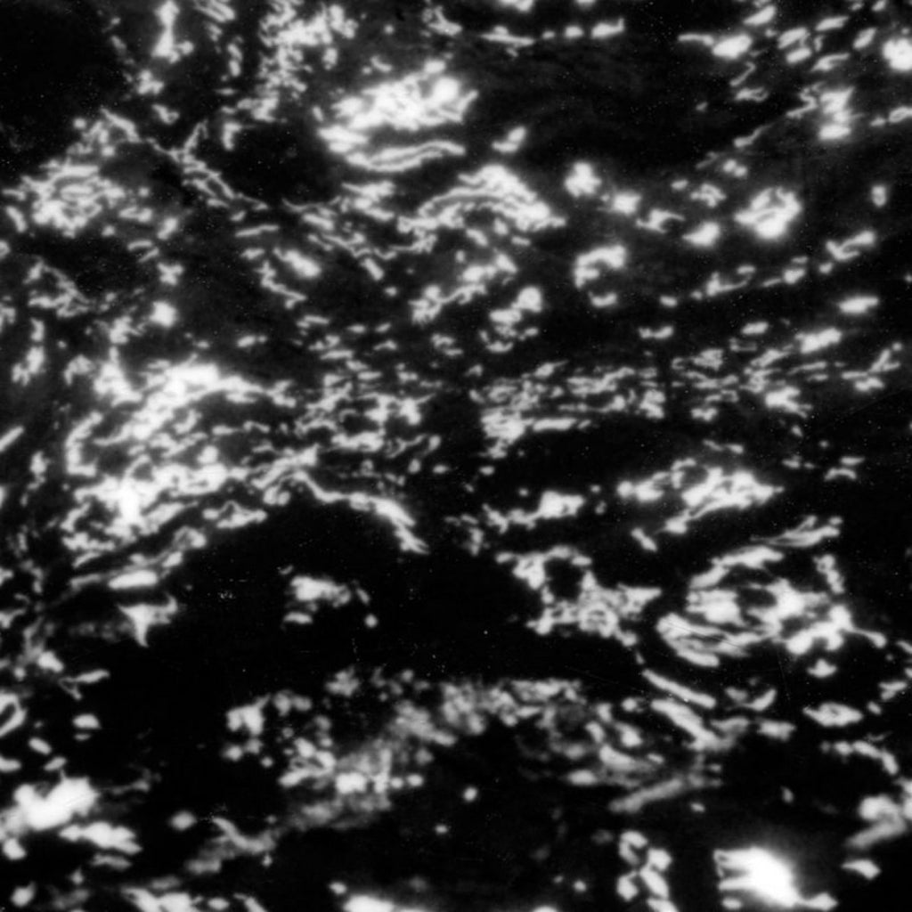 Grouper - A I A : Dream Loss - LP - Kranky - KRANK223