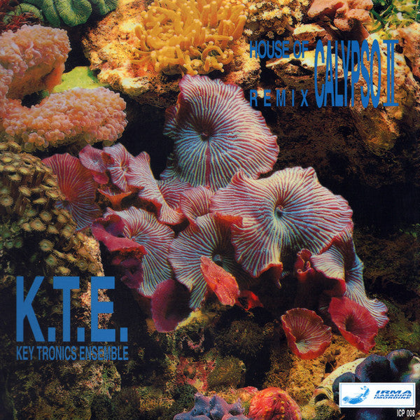 K.T.E. - House of Calypso II (Remix) - 12" - Flash Forward - FFOR009