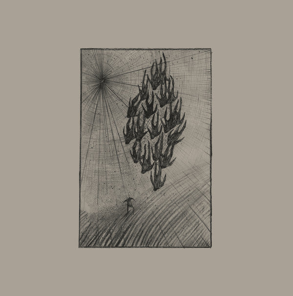Aine O'Dwyer - Locusts - LP - Penultimate Press - PP27