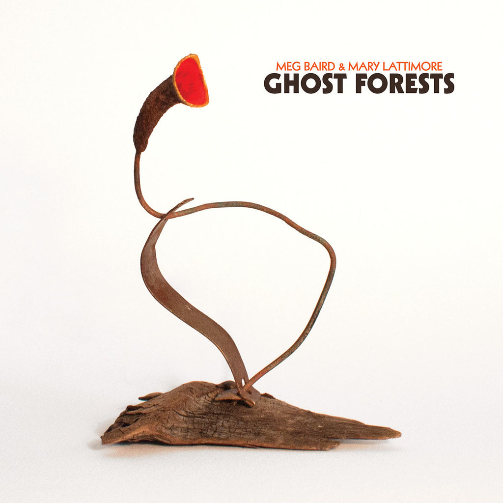 Meg Baird & Mary Lattimore - Ghost Forests - LP - Three Lobed Recordings - TLR-125