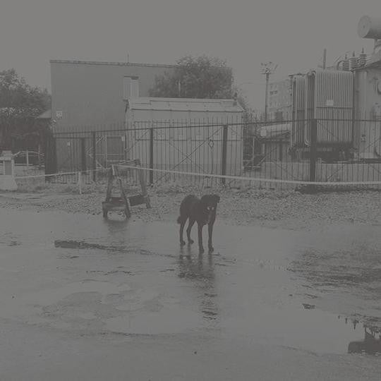 Nivhek - After Its Own Death / Walking In A Spiral Towards The House - 2xLP - W.25TH - W25-11