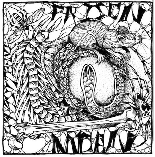Prison Moan - Parasite Hole - 7" - Negative Jazz - NJ-05