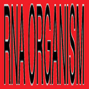 R.N.A. Organism - Unaffected Mixes Plus - 2xLP - φonon (フォノン) - SWDTR11