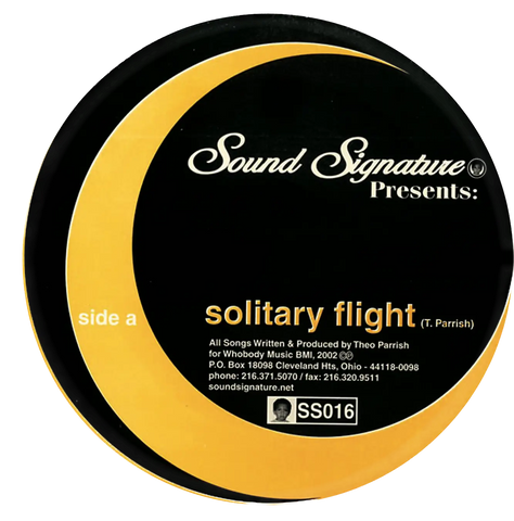 Theo Parrish - Solitary Flight - 12"