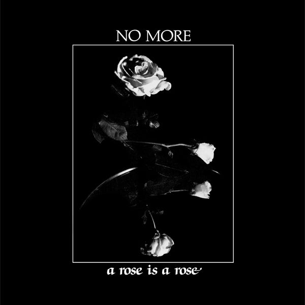 No More - A Rose Is A Rose - LP+7" - Dark Entries - DE-084