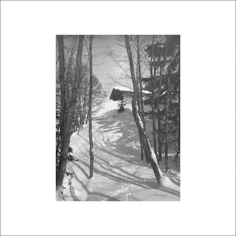 DJ Richard - Path of Ruin - 12" - Dial - Dialrec74