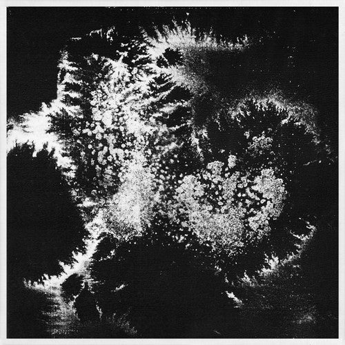 Vera Dvale & Psykovarius - Udu - LP - Sex Tags Amfibia - AMFIBIA 22