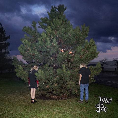 100 Gecs - 1000 Gecs - LP - Dog Show Records - MDS003V