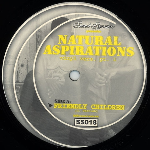 Theo Parrish - Natural Aspirations (Vinyl Vers. Pt. 1) - 12" - Sound Signature - SS018