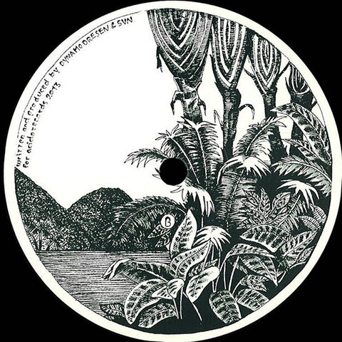 Dresvn - 12" - acido 014