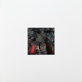 Naked Island - Naked Island - LP - Peak Oil - PEAK05