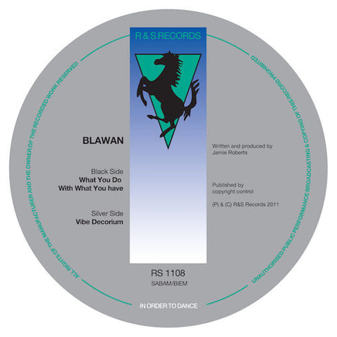 Blawan - What You Do With What You Have - 12" - R & S Records - RS1108