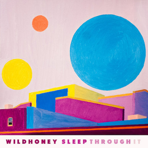 Wildhoney - Sleep Through It - LP - Deranged Records - DY262