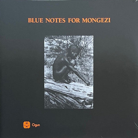 Blue Notes ‎- Blue Notes For Mongezi - 2xLP - Otoroku ‎- ROKURE005