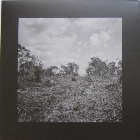 Bookworms - Compact Visual Nature - 12" - NORD Records - NORD005