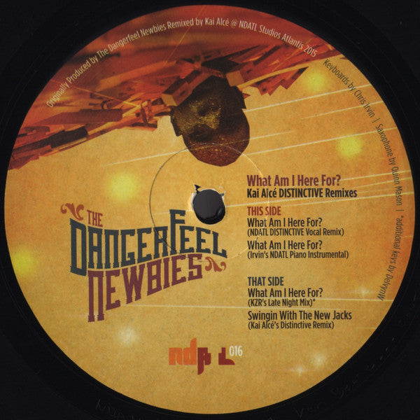 The Dangerfeel Newbies ‎– What Am I Here For? - 12" - NDATL Muzik - NDATL 016