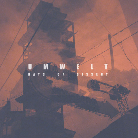 Umwelt - Days of Dissent - 2x12" - BOIDAE 001