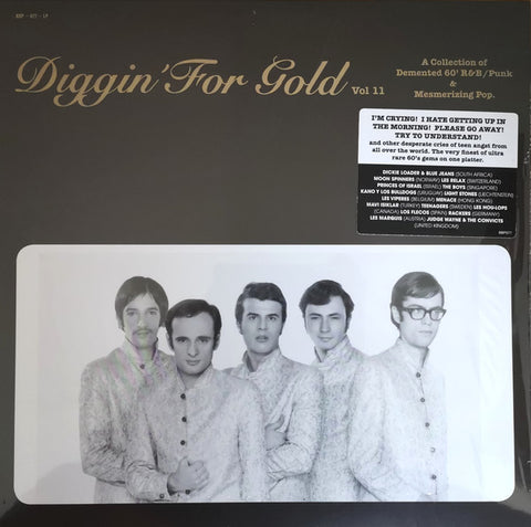 VA - Diggin' For Gold Vol. 11 - LP - Busy B Production - BBP077