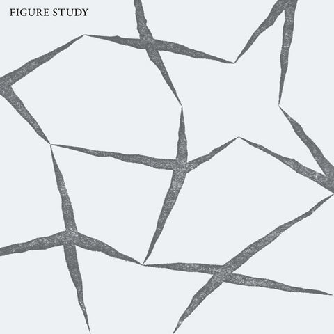 Figure Study - LP - Dark Entries - DE-053