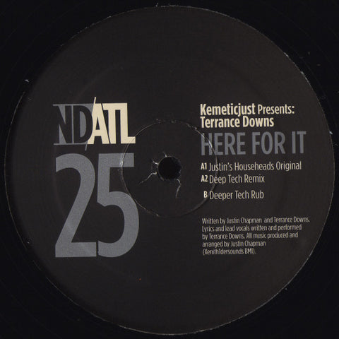 KemeticJust Presents: Terrance Downs – Here For It - 12" - NDATL Muzik – NDATL 025
