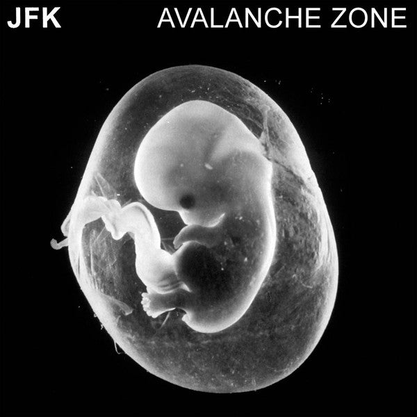 JFK - Avalanche Zone - LP - LIES 140