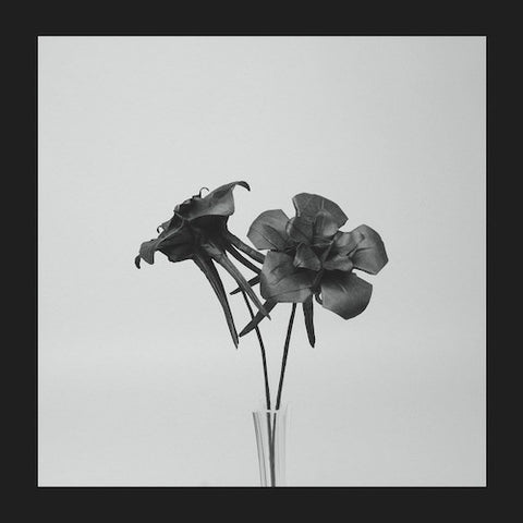 Jlin - Dark Lotus - 12" - Planet Mu - ZIQ384