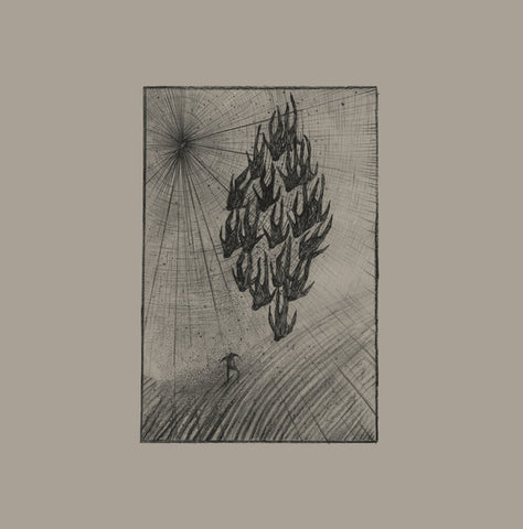 Aine O'Dwyer - Locusts - LP - Penultimate Press - PP27