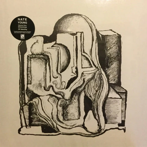 Nate Young - Volume One: Dilemmas Of Identity - LP - Lower Floor Music - LFLP004