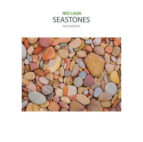 Ned Lagin - Seastones Set 4 & Set 5 - LP - Important Records - IMPREC479