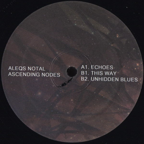 Aleqs Notal – Ascending Nodes - 12" - Sistrum Recordings – SIS-Anotal