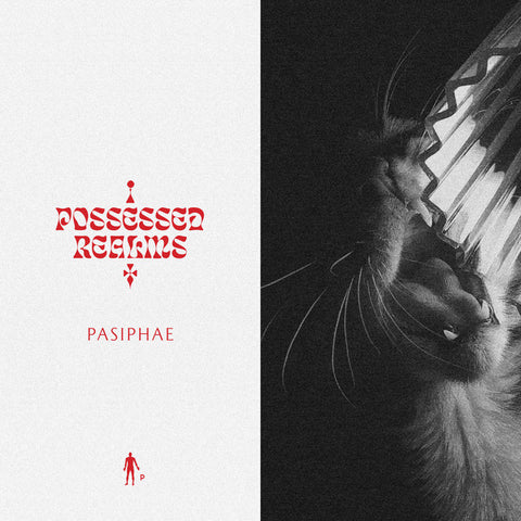 Pasiphae - Possessed Realms EP - 12" - Pinkman - PNKMN40