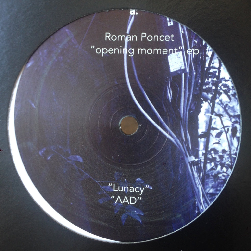 Roman Poncet - Opening Moment - 12" - Deeply Rooted - DRH046