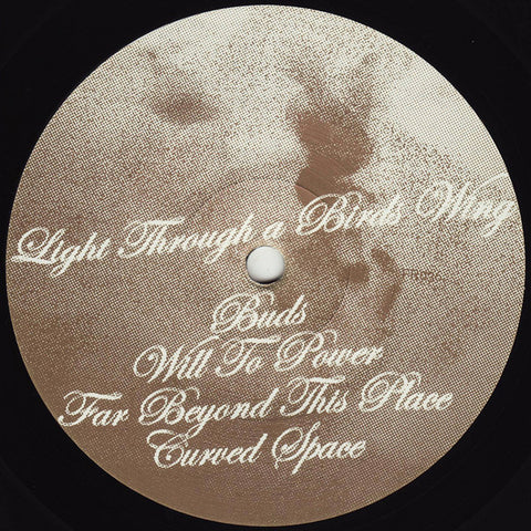 Reedale Rise - Light Through a Birds Wing - 12" - Frustrated Funk - FR036