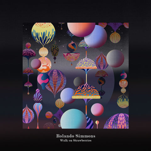 Rolando Simmons - Walk On Strawberries - 12" - 030303 - 030EP011