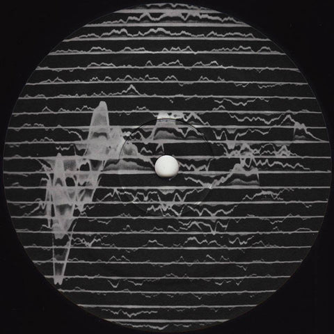 Dynamo Dreesen, SVN, A Made Up Sound - 12" - Sessions 003
