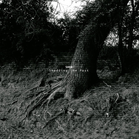 Shed - Shedding The Past - 2x12" - The Final Experiment - TFExx5