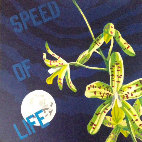 K15 - Speed of Life - 2x12" - Wild Oats - WOK1502