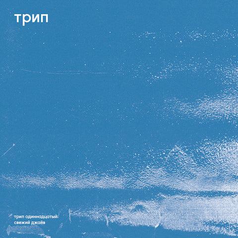 Bjarki - Fresh Jive - 12" - трип - TRP011