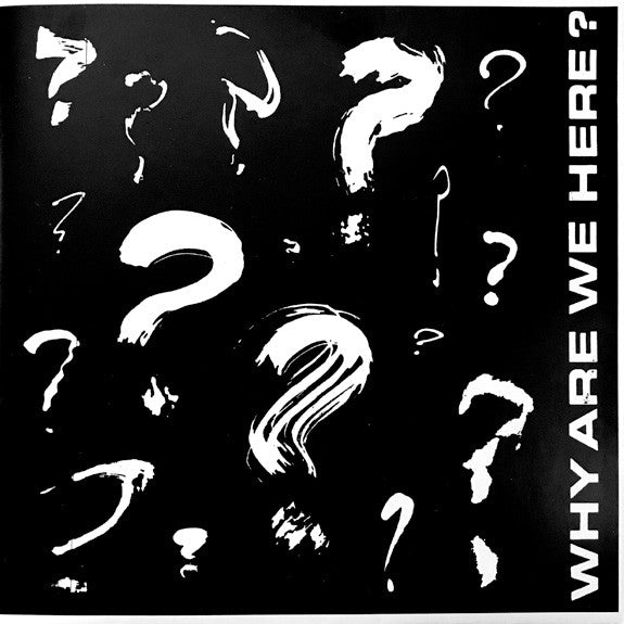 VA - Why Are We Here? - 7" - Schoolkids Records - Si-SMR-049